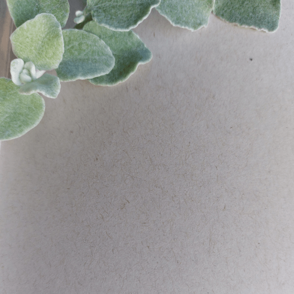 Album na zdjęcia "Razem" Classic By Madejska 25x25 cm 64 strony - obrazek 6